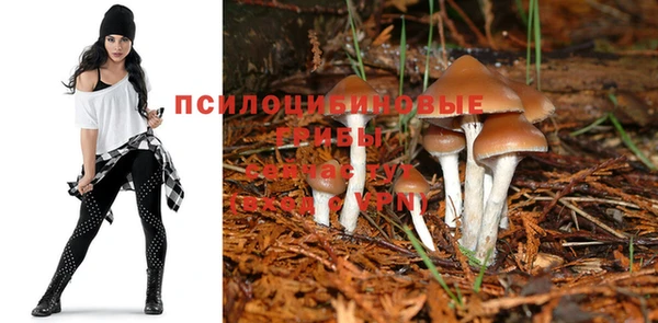 прущий лед Абаза